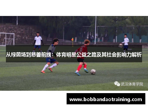 从绿茵场到慈善前线：体育明星公益之路及其社会影响力解析