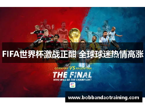 FIFA世界杯激战正酣 全球球迷热情高涨