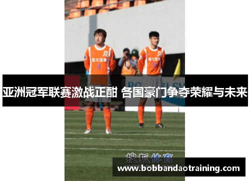 亚洲冠军联赛激战正酣 各国豪门争夺荣耀与未来