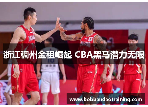 浙江稠州金租崛起 CBA黑马潜力无限